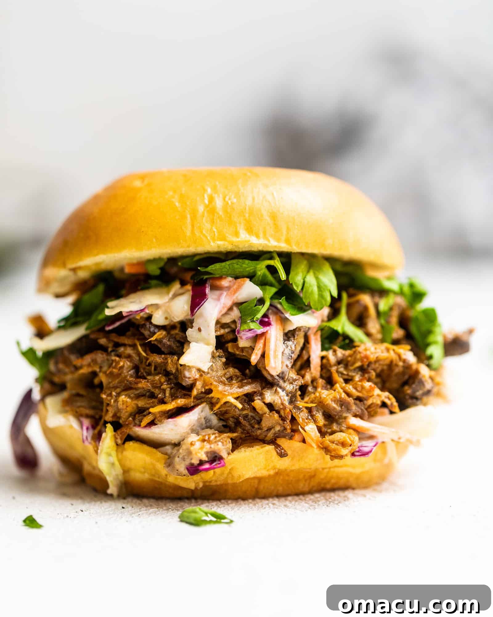 Close-up of a homemade pulled pork sandwich, showcasing the tender meat and rich sauce.