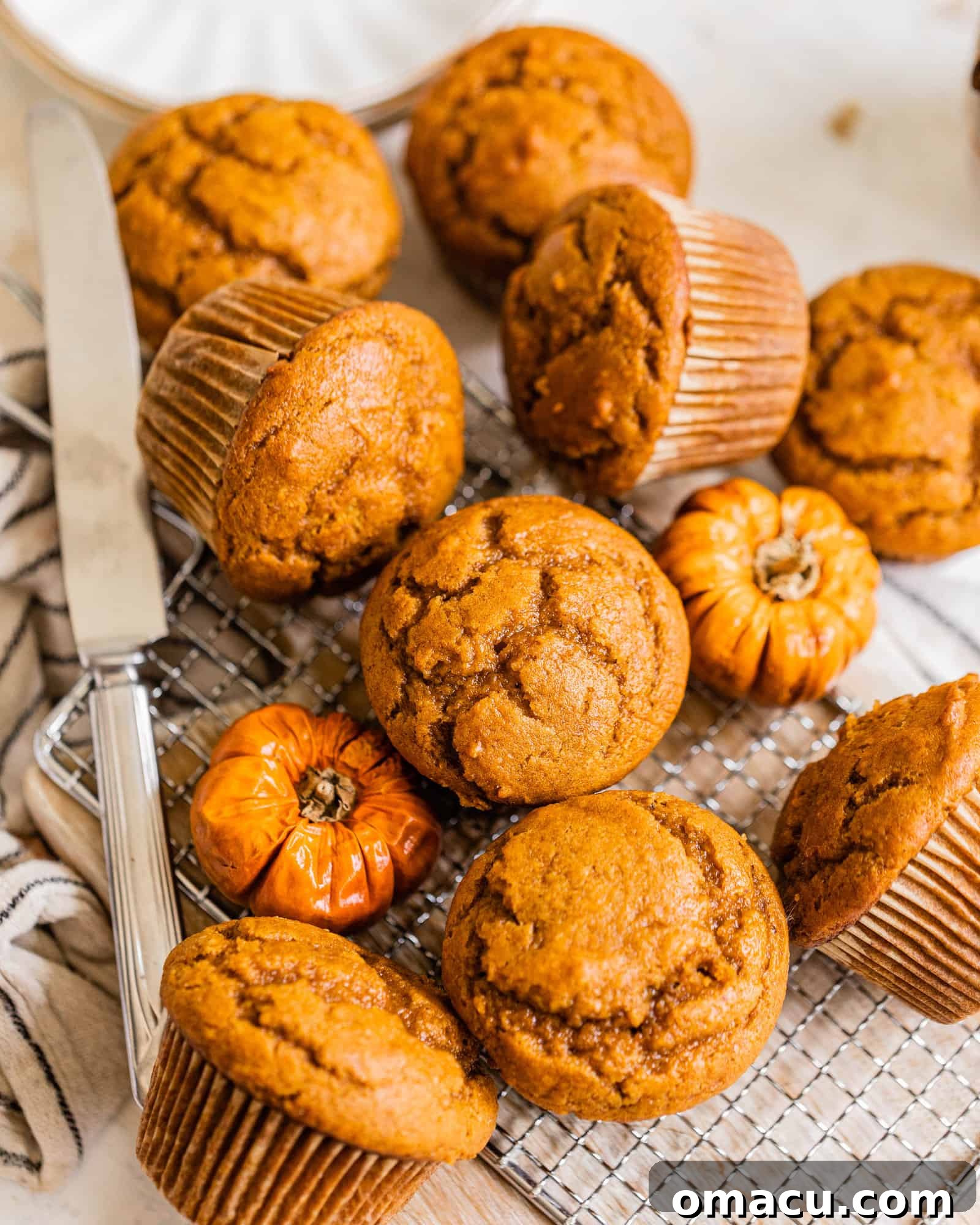 A freshly baked pumpkin muffin sliced open with a butter knife, revealing its moist interior and ready to be enjoyed.