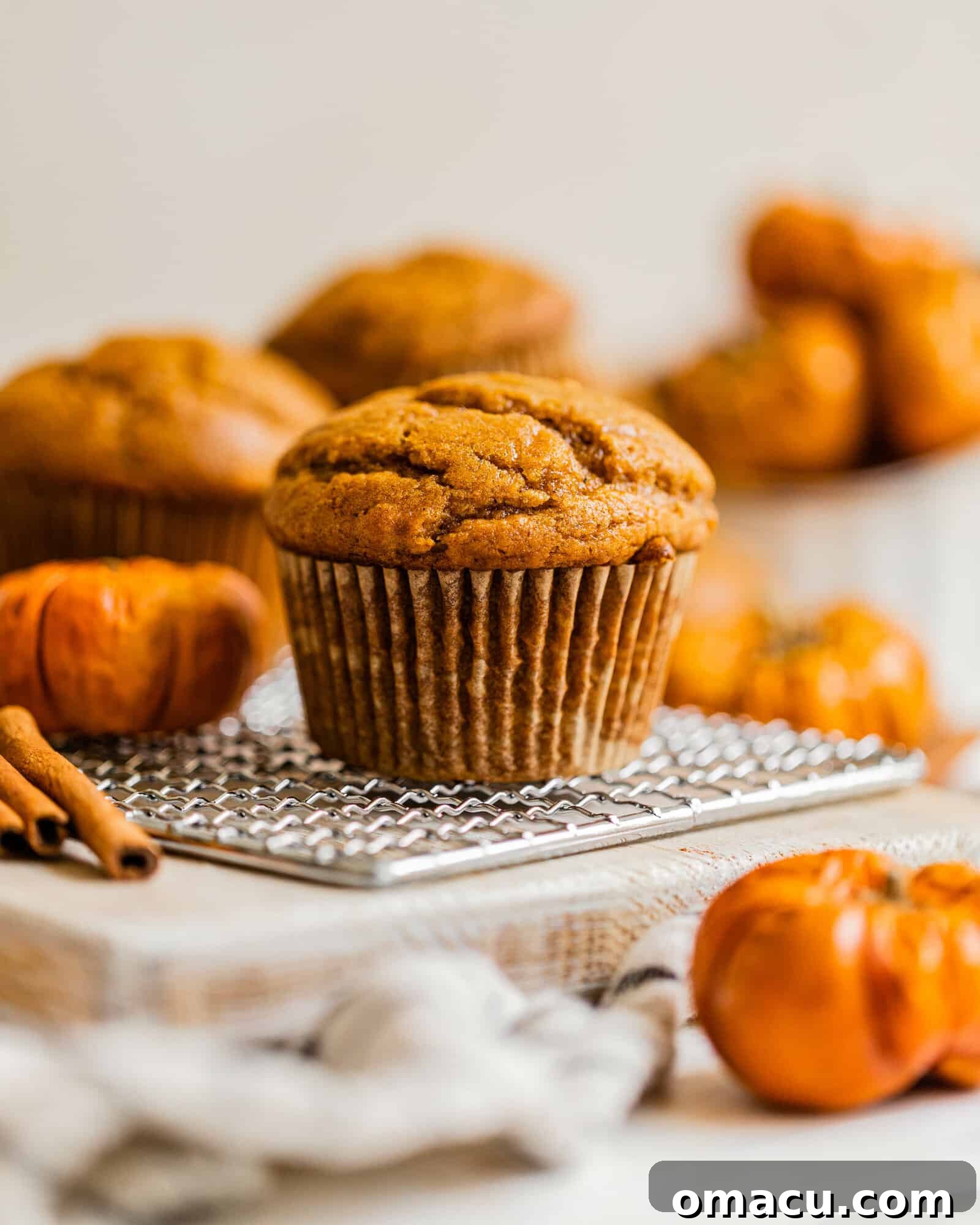 A single, perfectly baked pumpkin muffin sitting on a pristine white table, highlighting its golden-brown top and inviting texture.