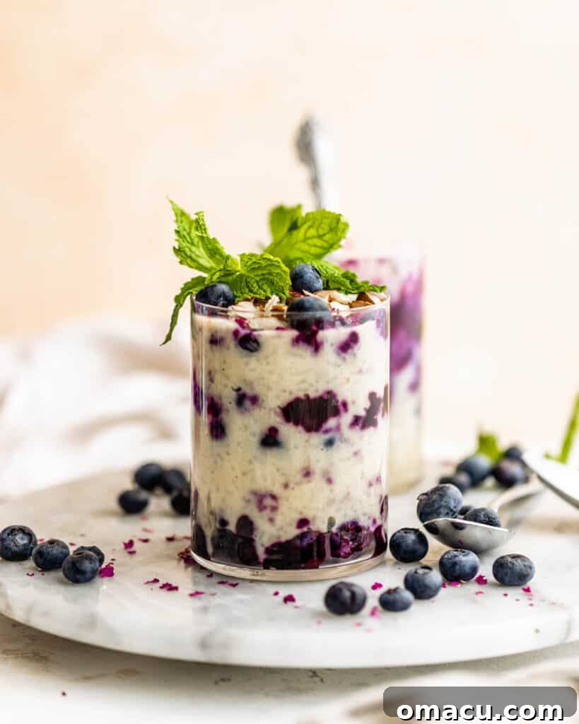 A large bowl of creamy rice pudding, garnished with a sprinkle of cinnamon and a few fresh blueberries, sitting on an elegant marble tray.
