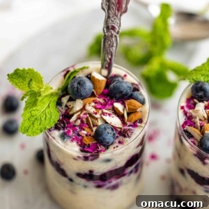 cups of rice pudding with almonds and blueberries on top