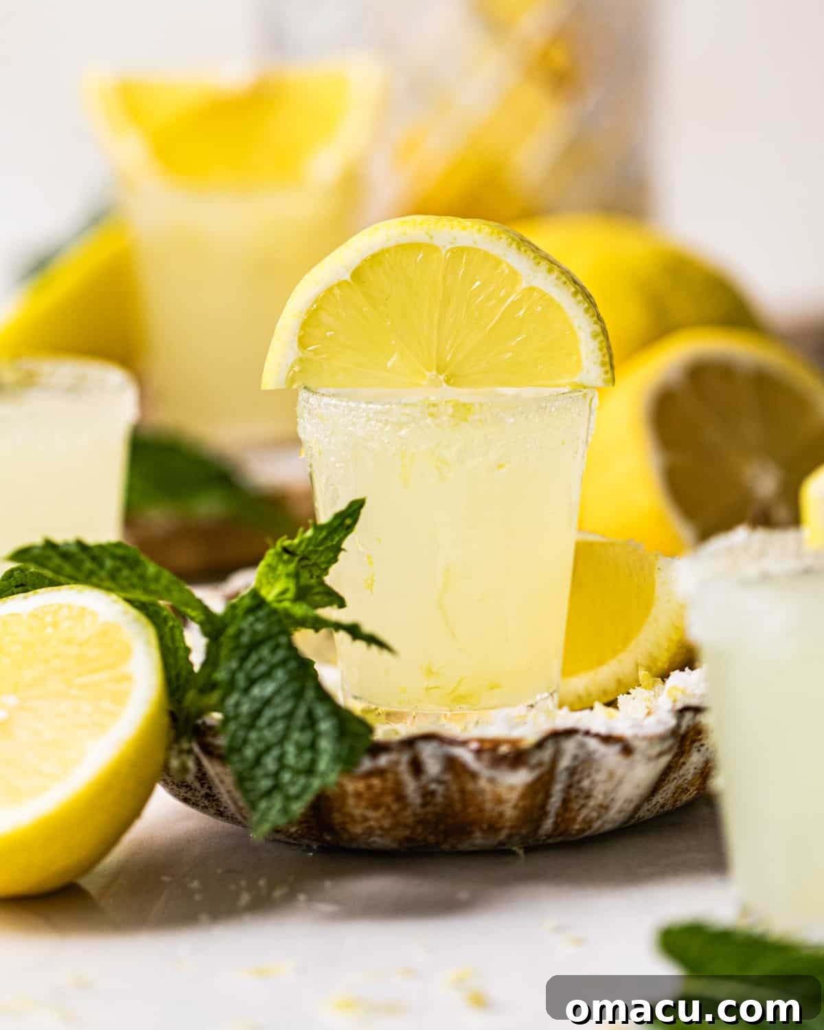 A single lemon drop shot elegantly presented in a shot glass with a sugared rim, garnished with fresh mint leaves, resting in a bowl of lemon sugar and zest.