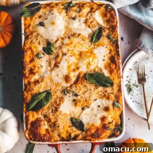Pumpkin lasagna in a baking dish surrounded by fresh squash and pumpkins, perfect for a fall feast.