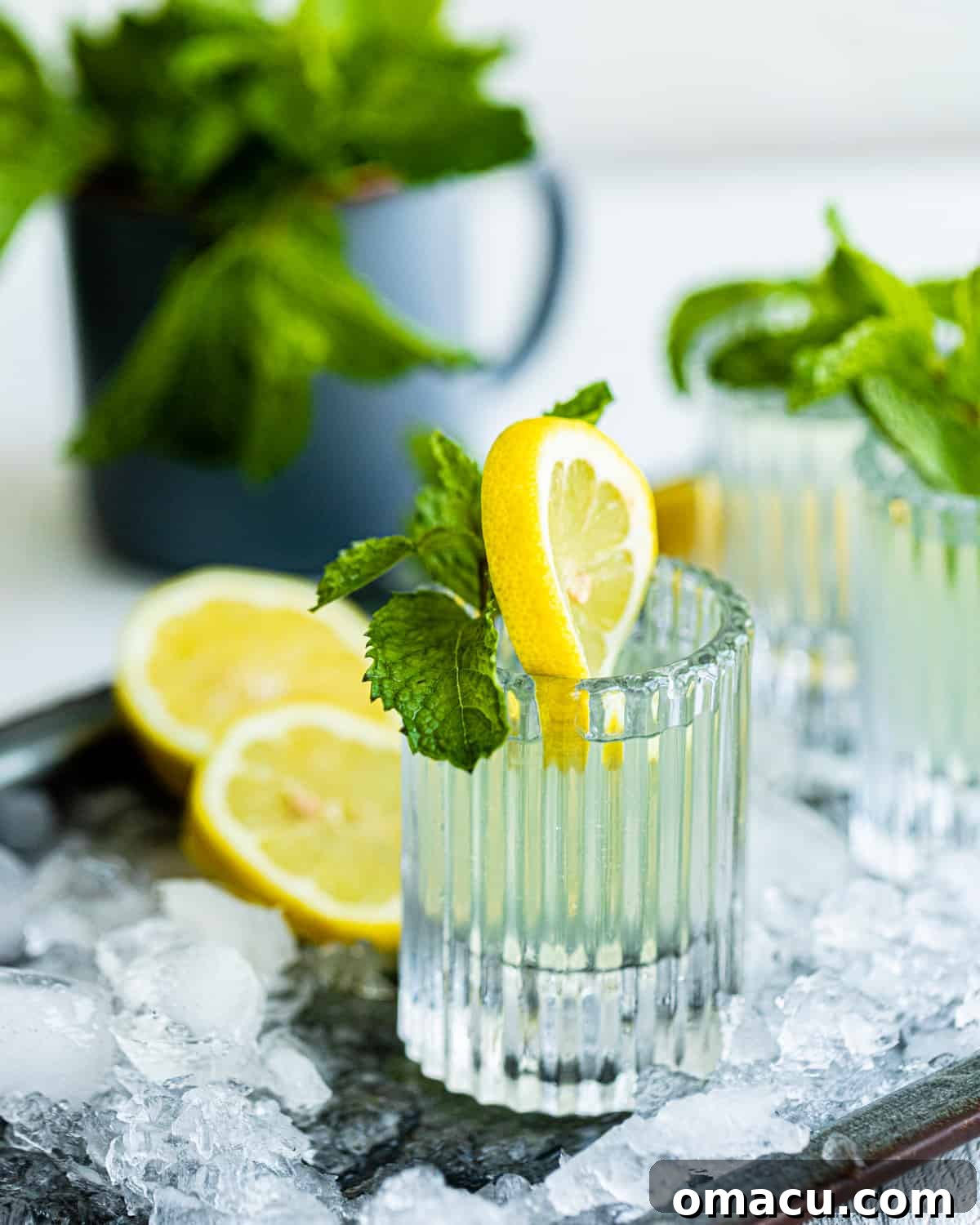 white tea shots in ice garnished with lemon and mint.