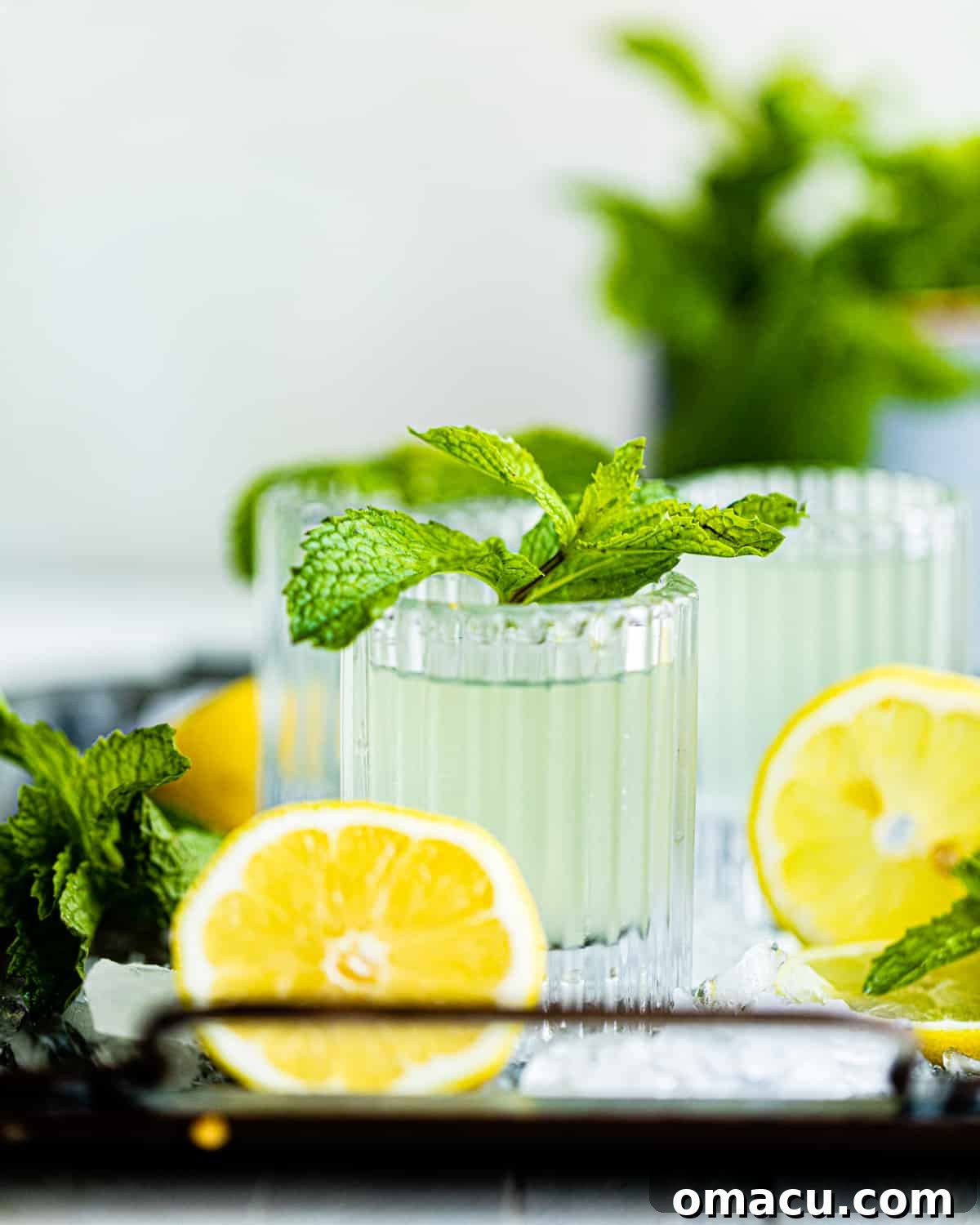 a white tea shot garnished with fresh mint.