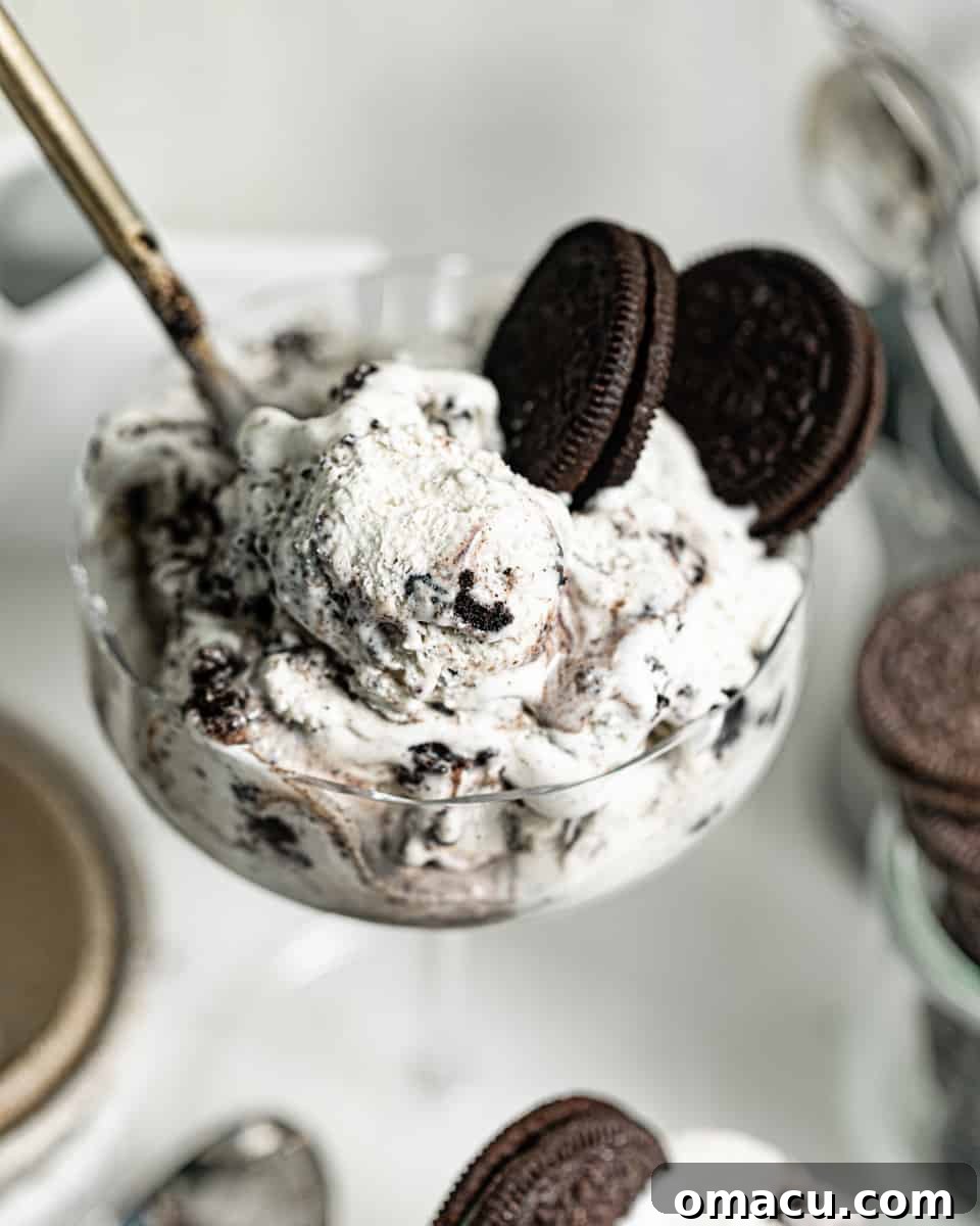 A close-up view of a scoop of homemade Oreo ice cream in a glass, ready to be enjoyed with a spoon.