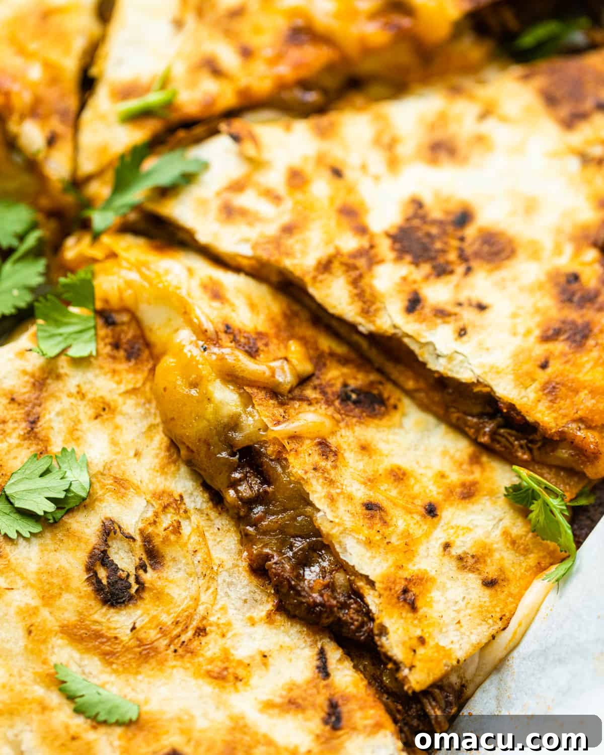 up close photo of birria quesadilla, showcasing its crispy texture and melted cheese.