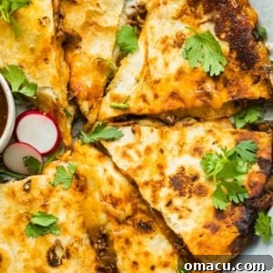 birria quesadilla garnished with chopped cilantro and sliced radishes, a finished dish.