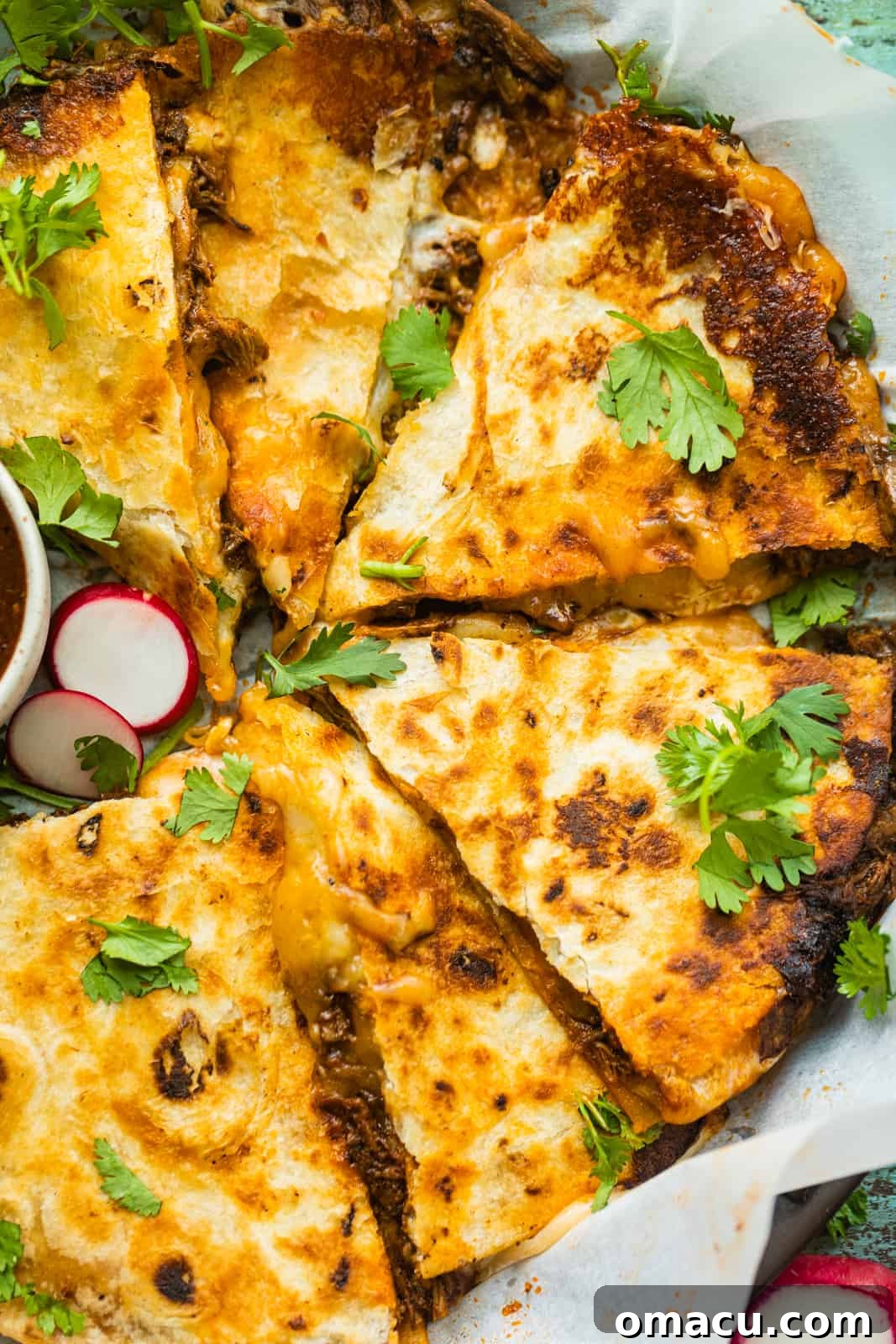 birria quesadilla garnished with fresh chopped cilantro and sliced radishes, ready to serve.