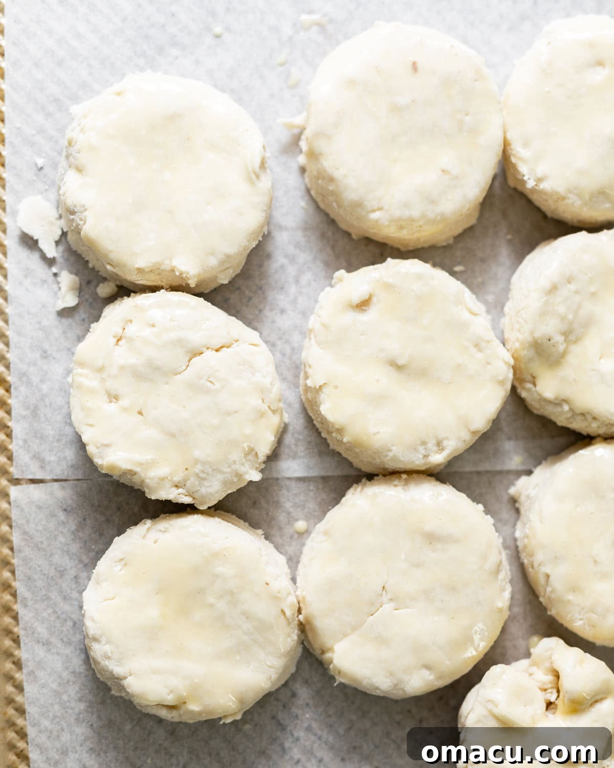 Egg wash being brushed liberally on top of uncooked biscuits arranged on a parchment-lined baking sheet.