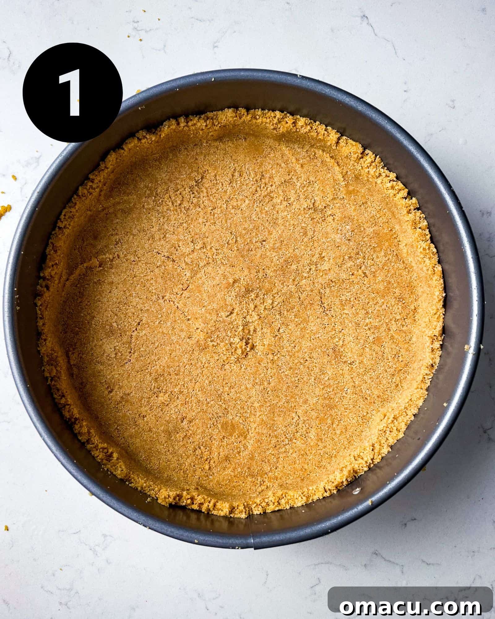 Graham cracker crust neatly pressed into a springform pan.