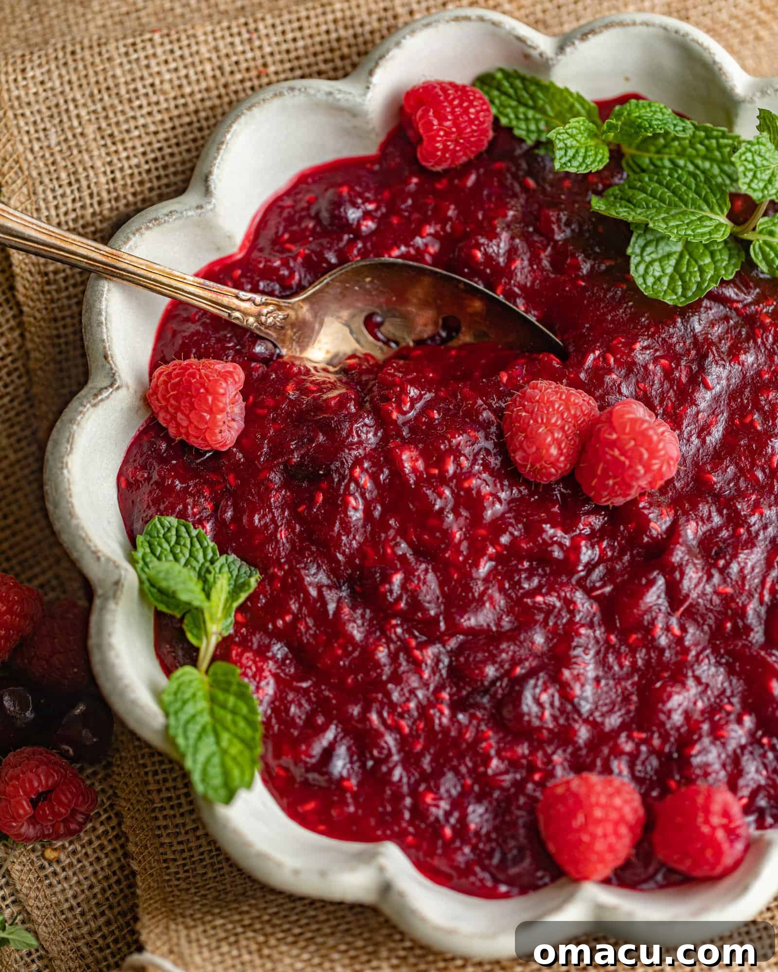 A bowl of glossy cranberry sauce with a serving spoon, ready for any meal.