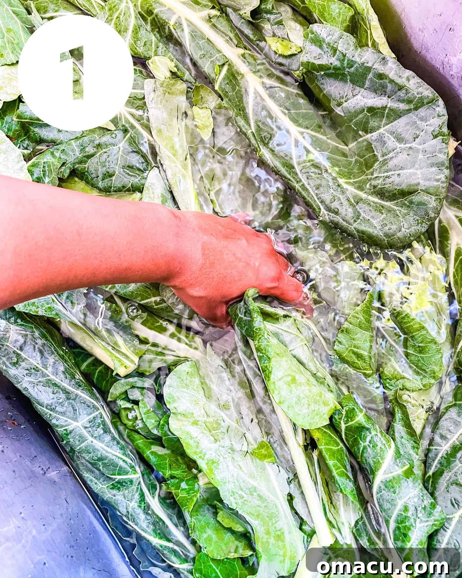 Collard greens soaking in a sink filled with water and apple cider vinegar.