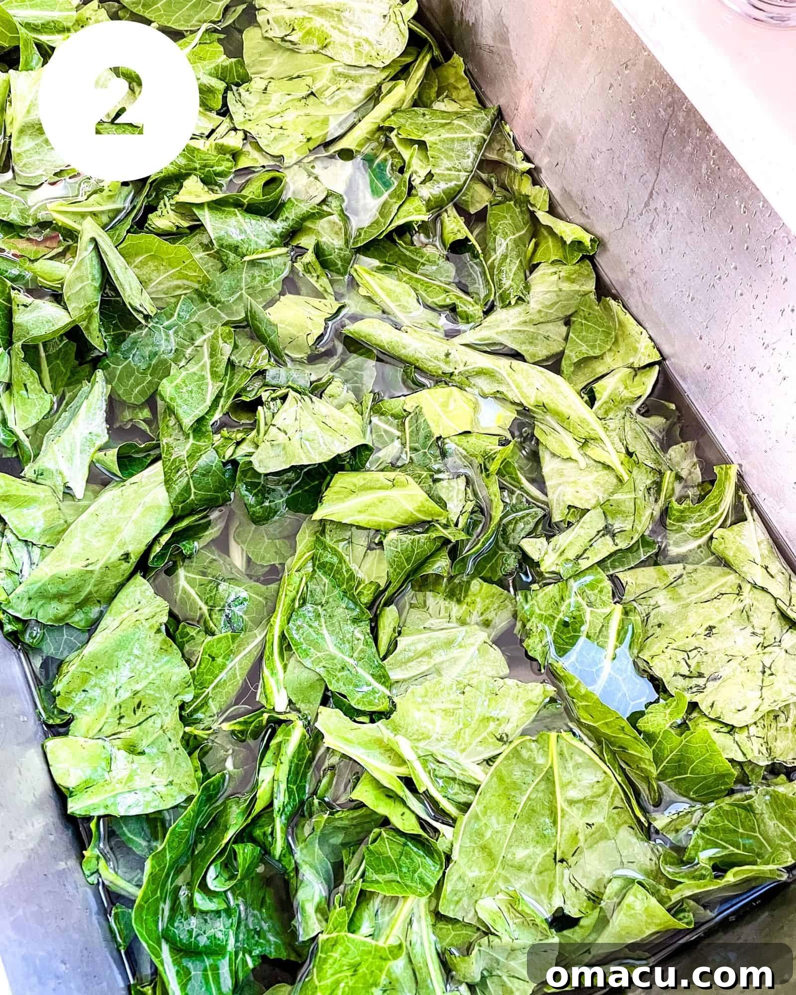 Shredded collard greens soaking in a sink with water and vinegar after stems have been removed.