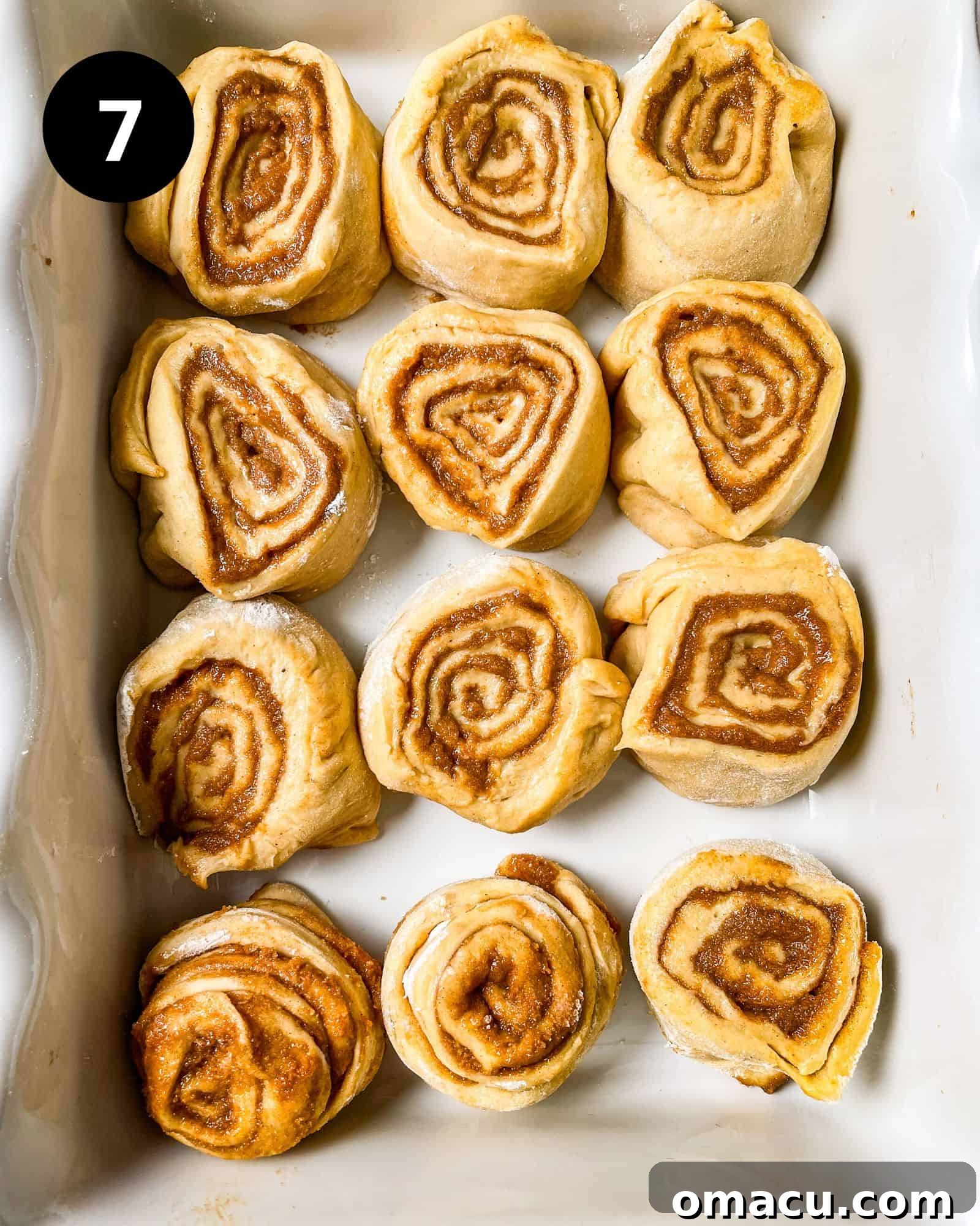 Individual cinnamon rolls, neatly cut and arranged in a 9x13 inch baking dish, ready for their second rise.