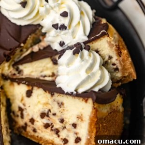 slices of a chocolate chip cheesecake on a serving tray.