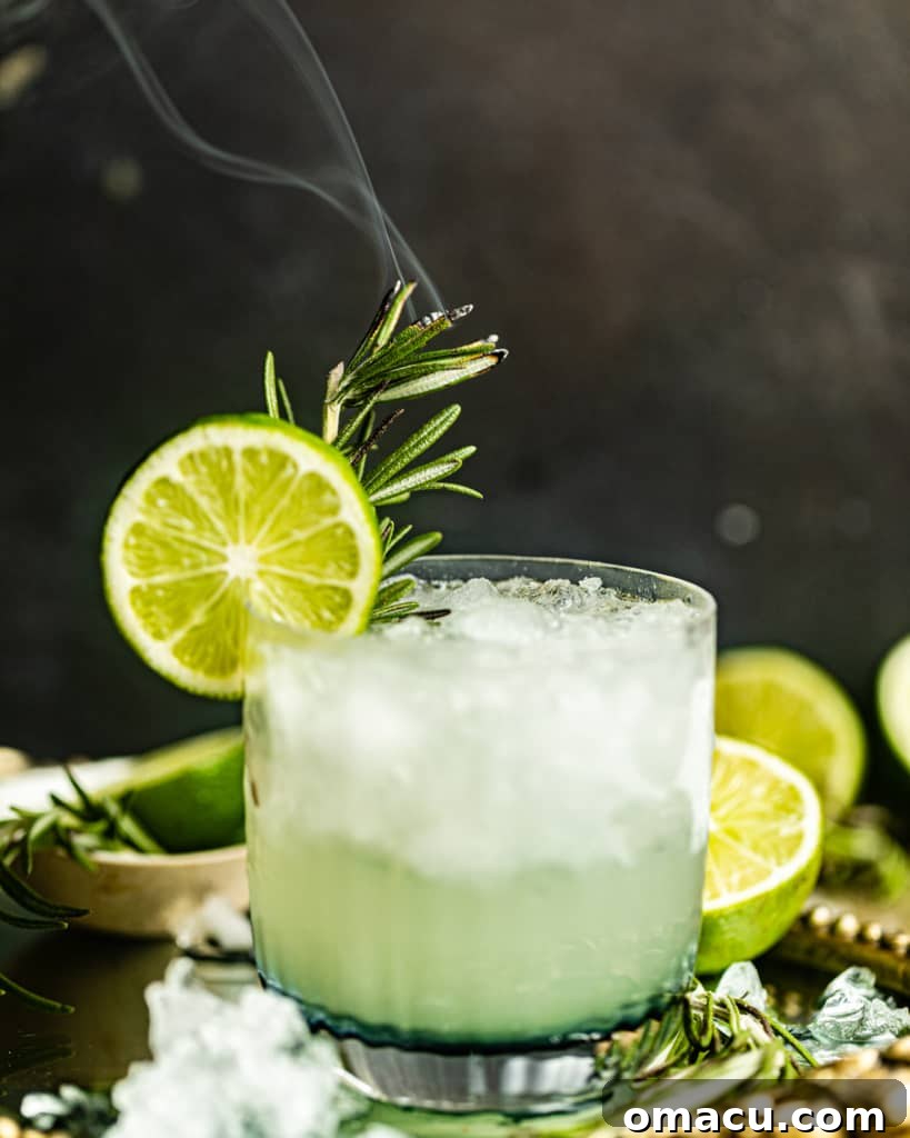 A glistening vodka gimlet in a classic cocktail glass, adorned with a fresh lime wheel on the rim.