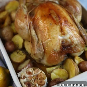 A beautifully roasted chicken infused with lemon and thyme, showcasing crispy golden skin and promising a juicy, aromatic meal.