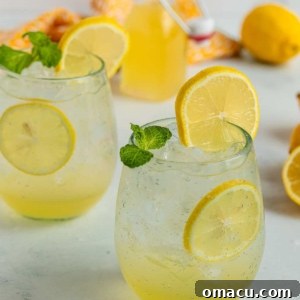 A refreshing glass of homemade lemon soda, garnished with bright lemon slices, promising a sweet and tangy effervescent experience.