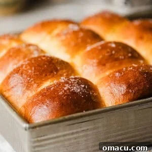 Fluffy brioche dinner rolls baked in a beautiful baking dish, finished with flaky sea salt and a glaze of melted butter.