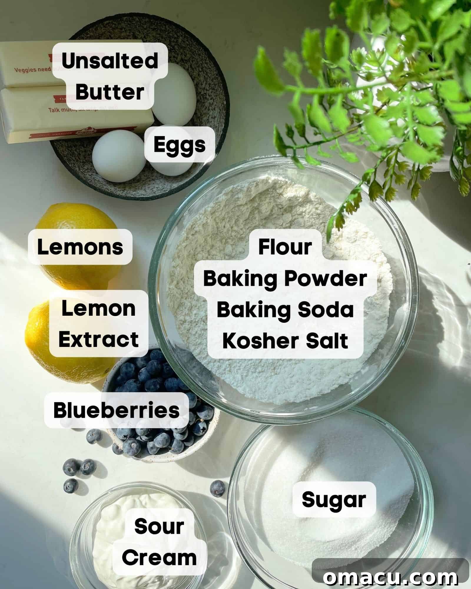 A collection of fresh ingredients for lemon blueberry cake, including flour, sugar, lemons, blueberries, and eggs, artfully arranged on a white surface next to a green plant.