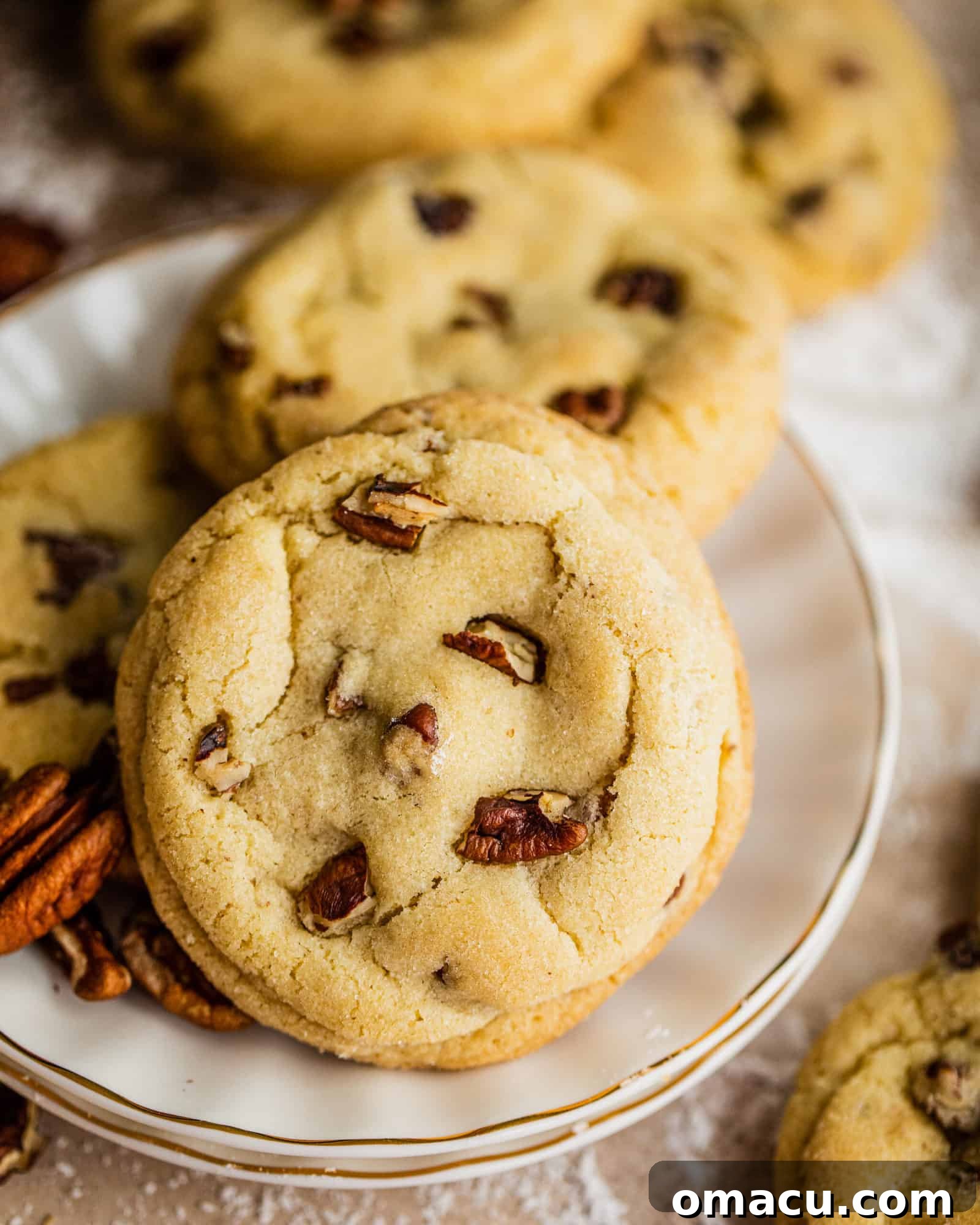 Close-up of a single Vanilla Bean Butter Pecan Cookie on a white plate, showcasing its texture and pecan pieces.