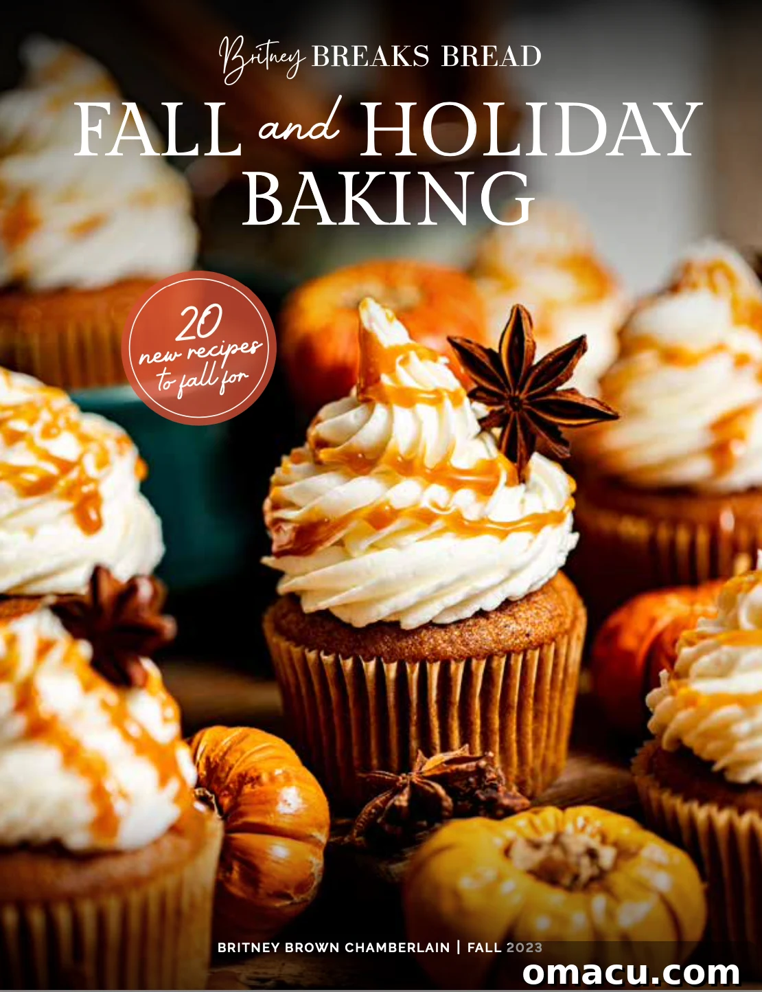 The cover of the 'Fall and Holiday Baking E-Cookbook' featuring an inviting autumn-themed baked good.