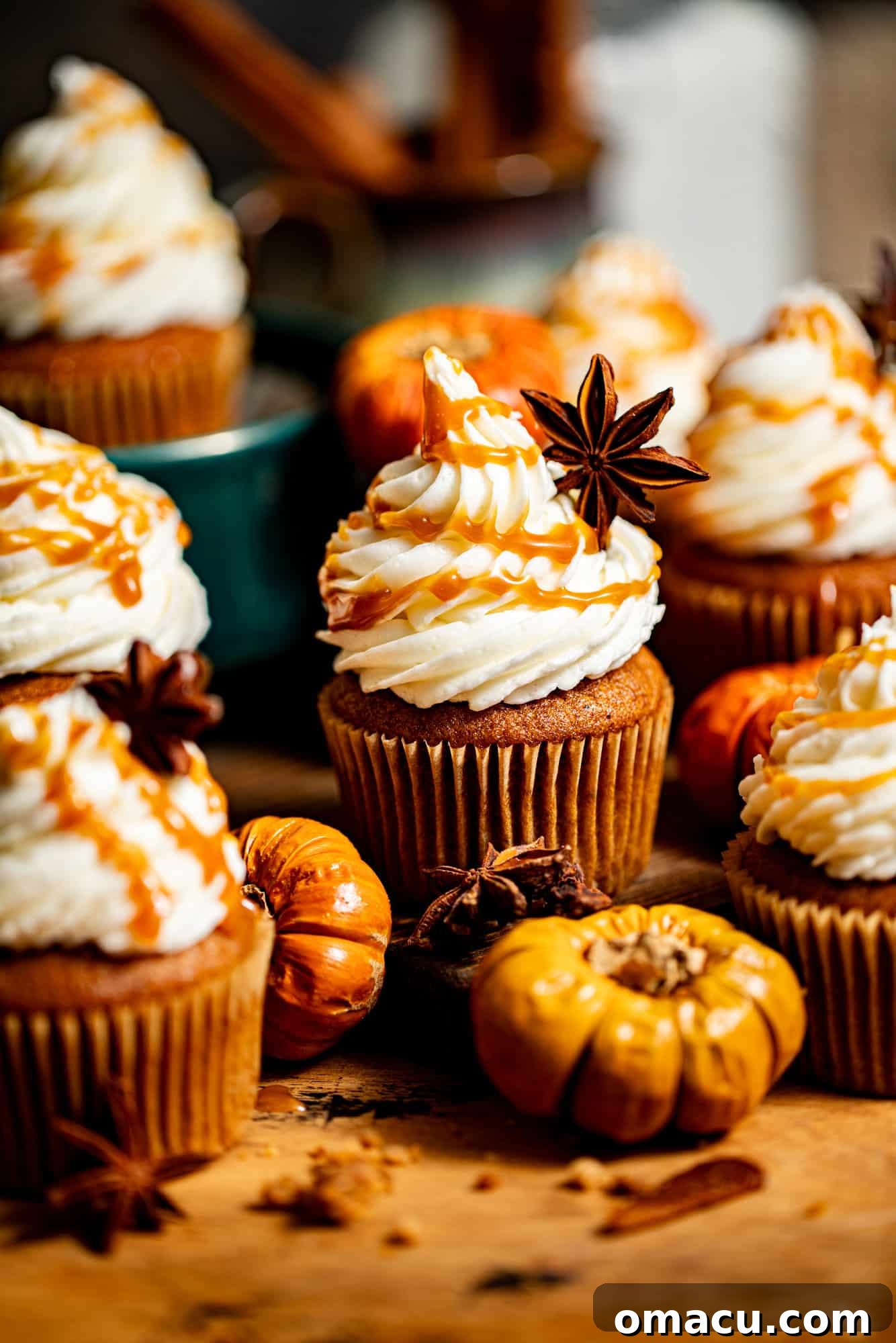 Close-up of salted caramel pumpkin cupcakes with miniature decorative pumpkins scattered around, highlighting the rich frosting and caramel.