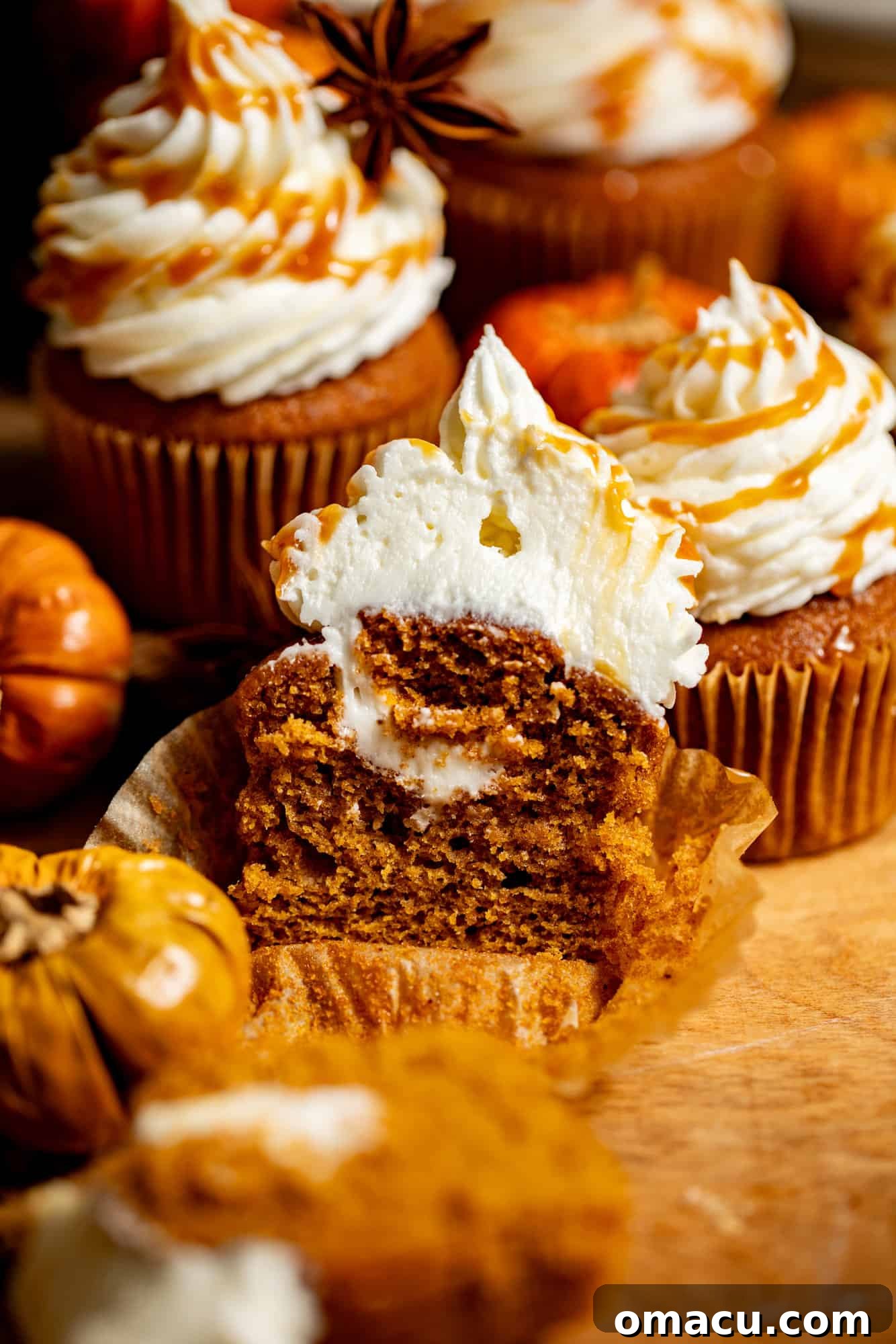 A perfectly cut pumpkin cupcake showing its moist interior, generously filled and topped with cinnamon cream cheese frosting.