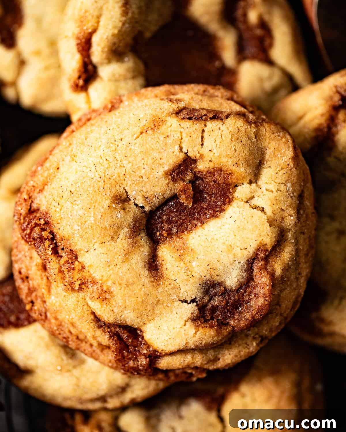 An inviting close-up photo of a single, perfectly baked cinnamon cookie, showcasing its texture and cinnamon coating