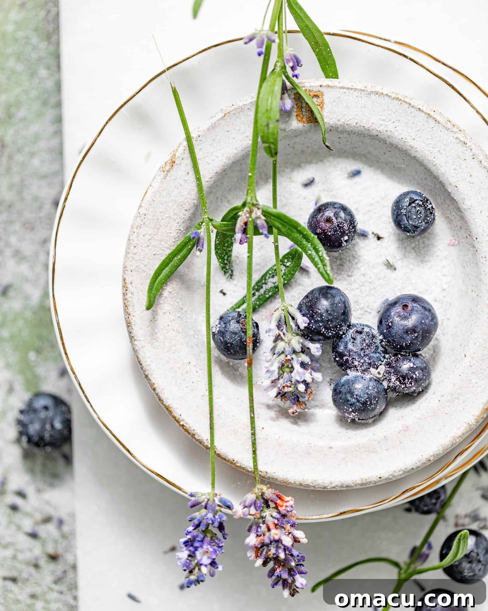 Fresh blueberries, fragrant dried culinary lavender, and granulated sugar arranged neatly on a pristine white plate, showcasing the key ingredients for the lemonade.