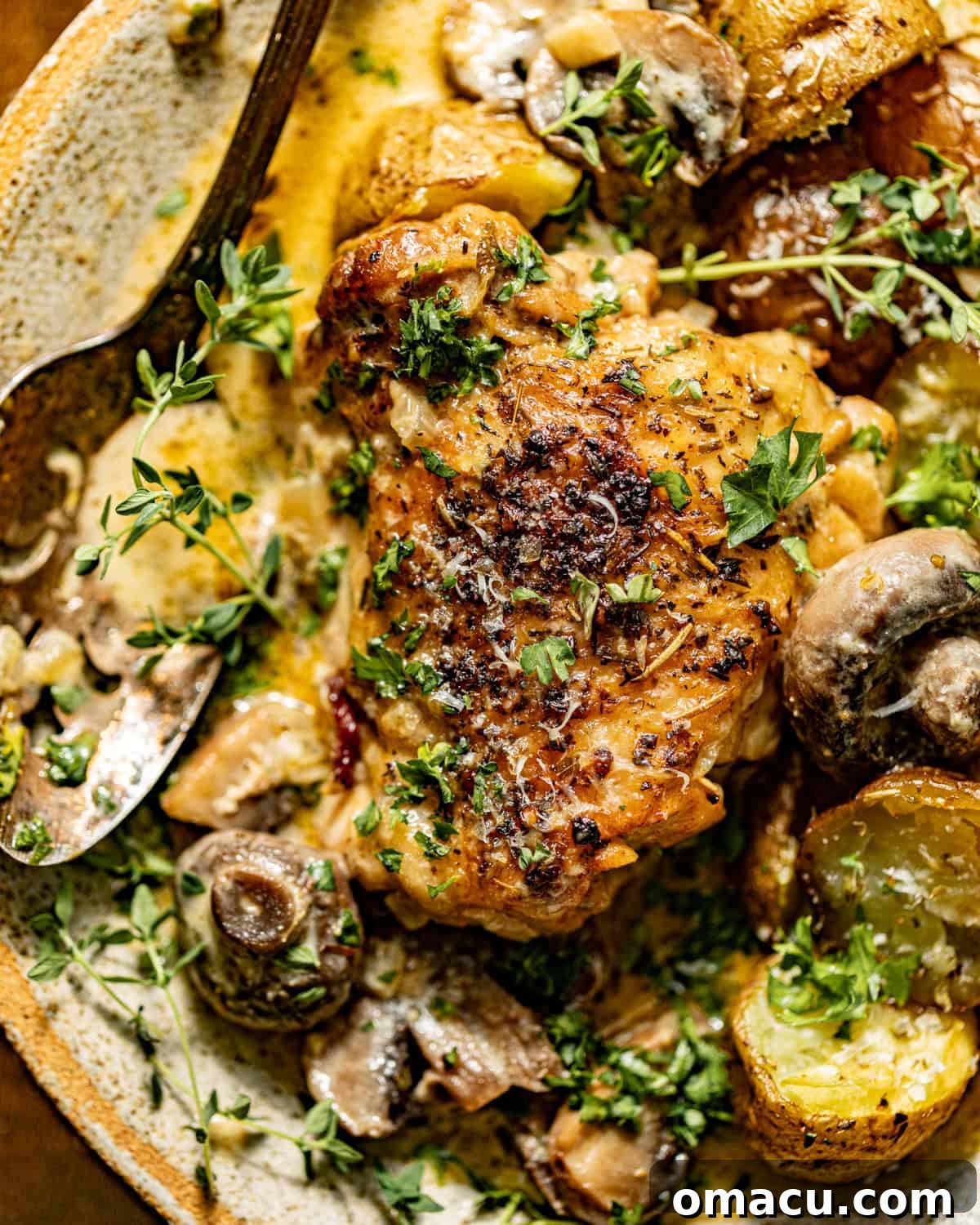 up close photo of coq au vin blanc in a bowl with a spoon with potatoes and mushrooms.