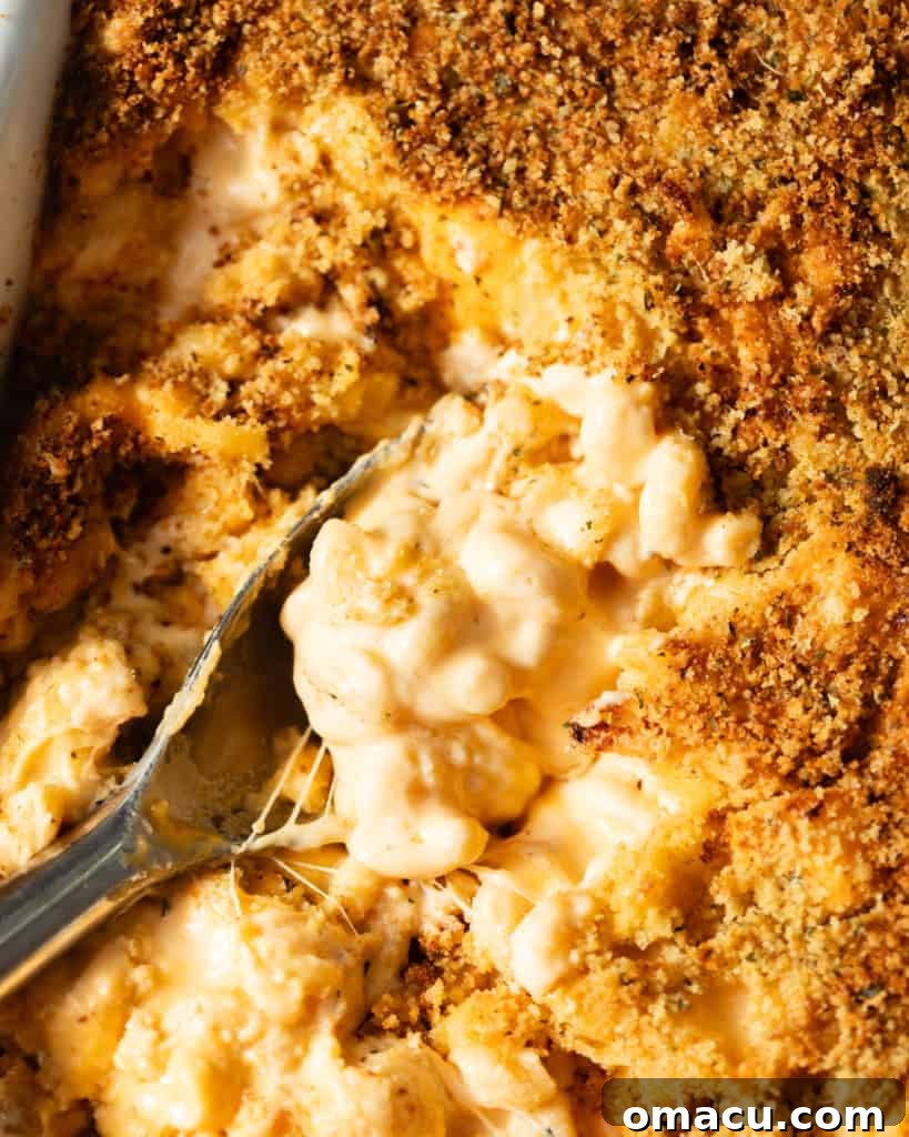 A close-up photo of bubbling, golden-brown baked mac and cheese in a baking dish, with a serving spoon ready to scoop.