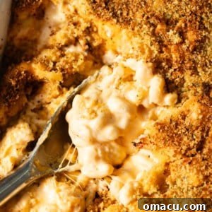 up close photo of mac and cheese in a baking dish with a serving spoon.
