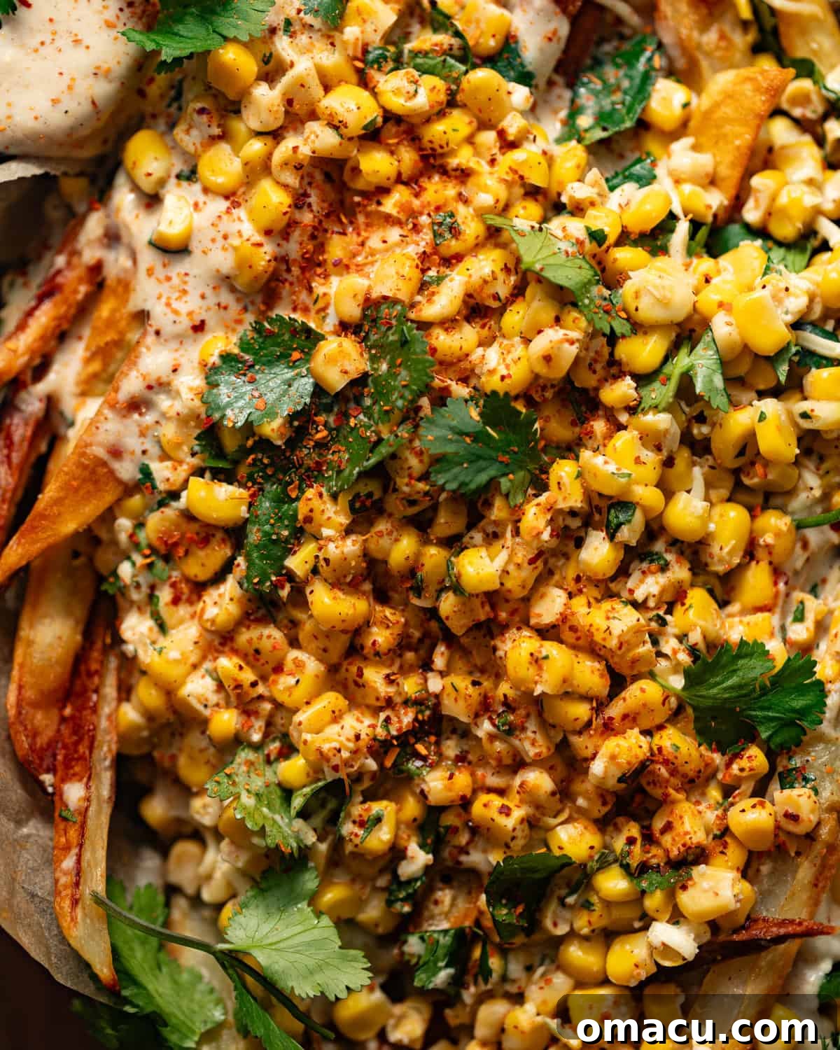 Up-close photo of loaded elotes fries, showcasing the vibrant toppings and crispy texture.
