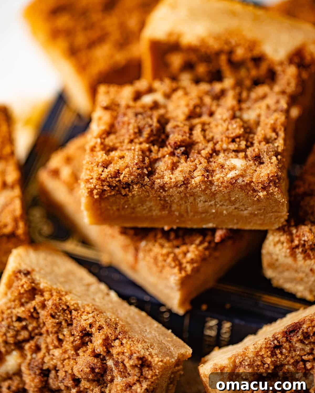 Close-up photo of a snickerdoodle cookie bar with visible streusel topping, resting on a book.