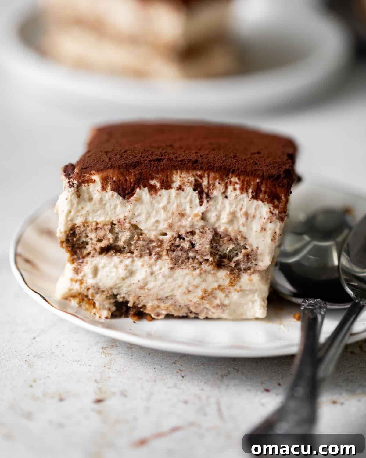 A pristine slice of authentic Italian tiramisu, showcasing perfectly defined layers of coffee-soaked ladyfingers and creamy mascarpone, dusted with cocoa powder, served on a white plate.