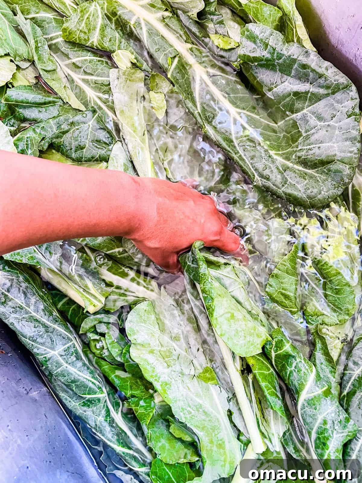 Fresh collard greens soaking in a sink filled with water and vinegar for a thorough cleaning.