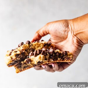 A hand holding two chocolate chip cookies.