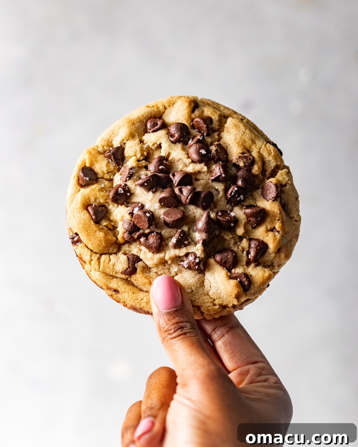 A hand holding a single, warm, golden-brown chocolate chip cookie fresh from the oven.