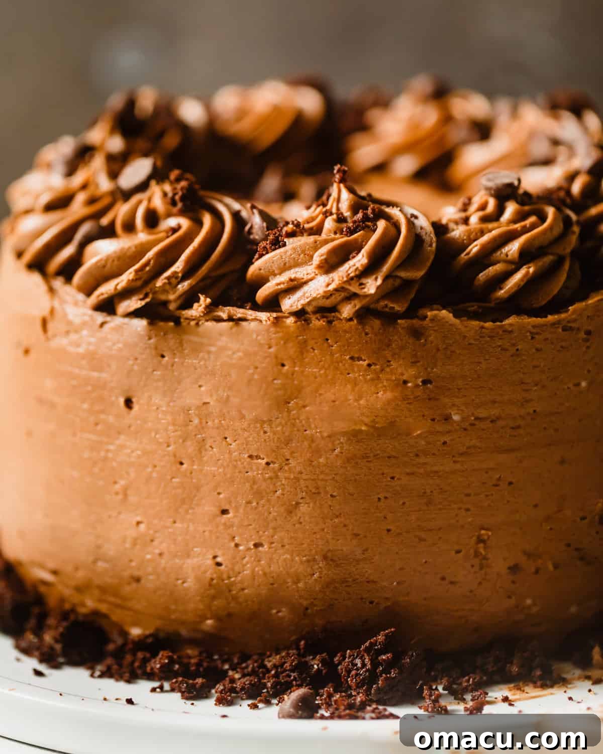 Close-up photograph of a decadent triple chocolate cake on a white plate, highlighting its rich textures and inviting appearance.
