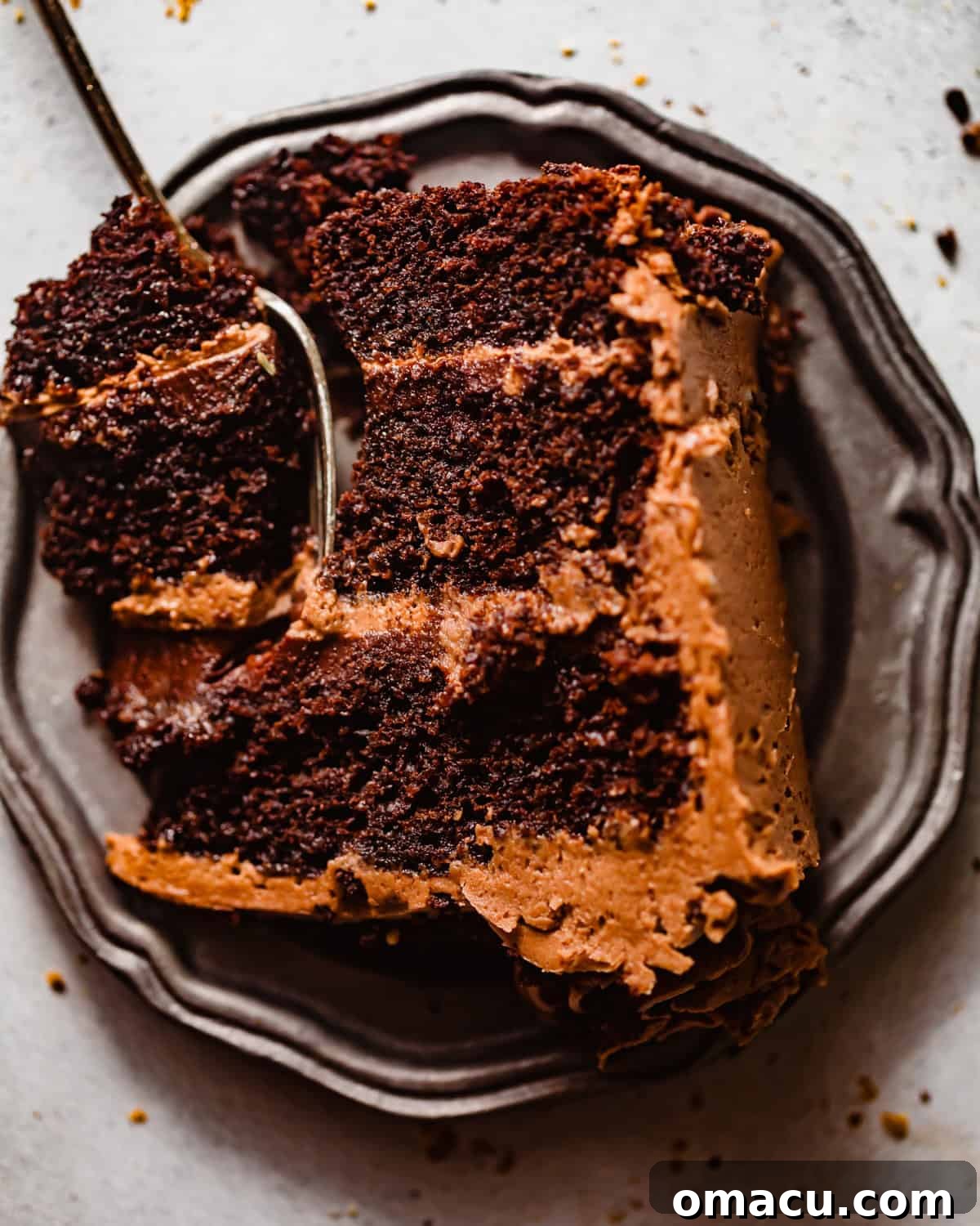 Close-up photo of a deeply moist chocolate cake slice on a white plate with a fork, showing its rich texture.