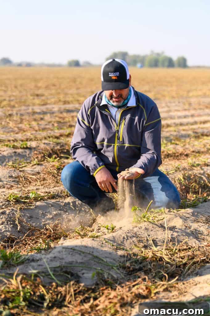California Grown Agritour in San Joaquin Valley featuring sweet potato farmer Jason Tucker of Tucker Produce, Brad Ralls of Mininger Foods, and cheesemakers Laura Genasci, Brian Fiscalini, Alex Borgo of Fiscalini Farmstead.