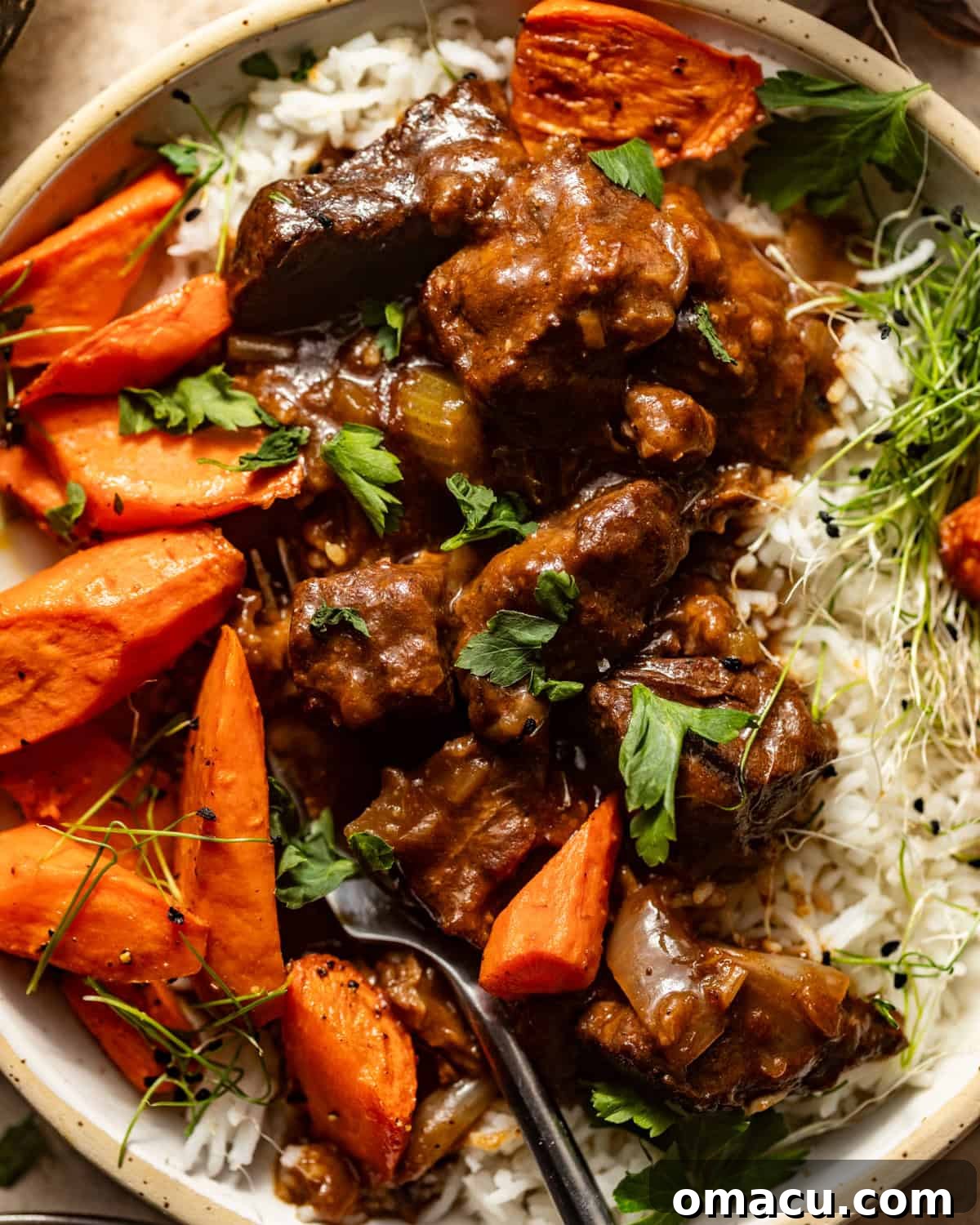 Close-up photo of a plate of beef tips and gravy served with white rice and glazed carrots, garnished with fresh herbs.