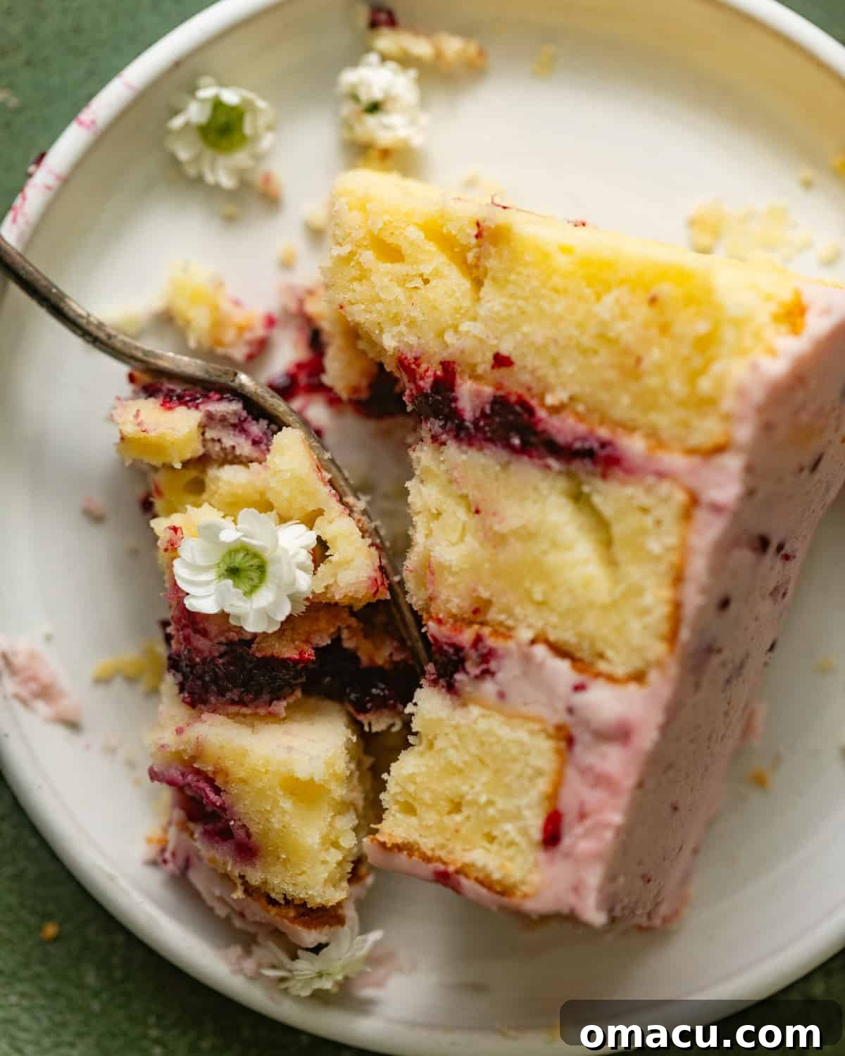 A single slice of Lemon Blackberry Cake on a pristine white plate, garnished with fresh blackberries.