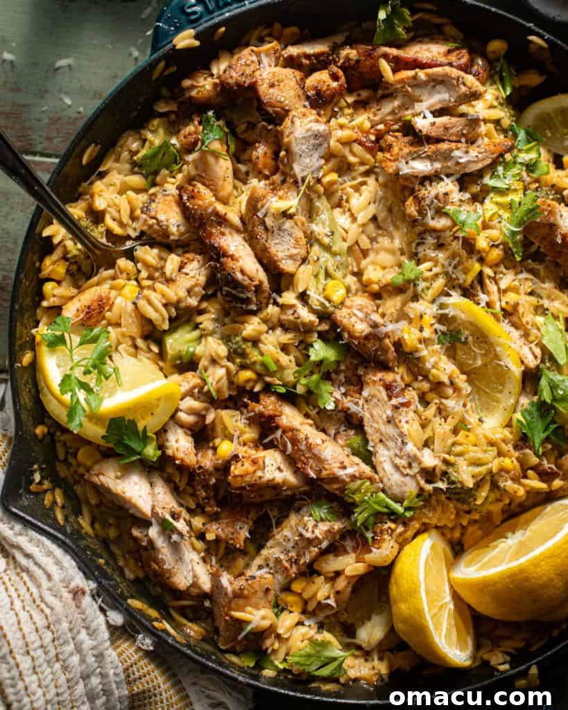 Finished lemon chicken orzo pasta in a skillet with a serving spoon, garnished with lemon and parsley.