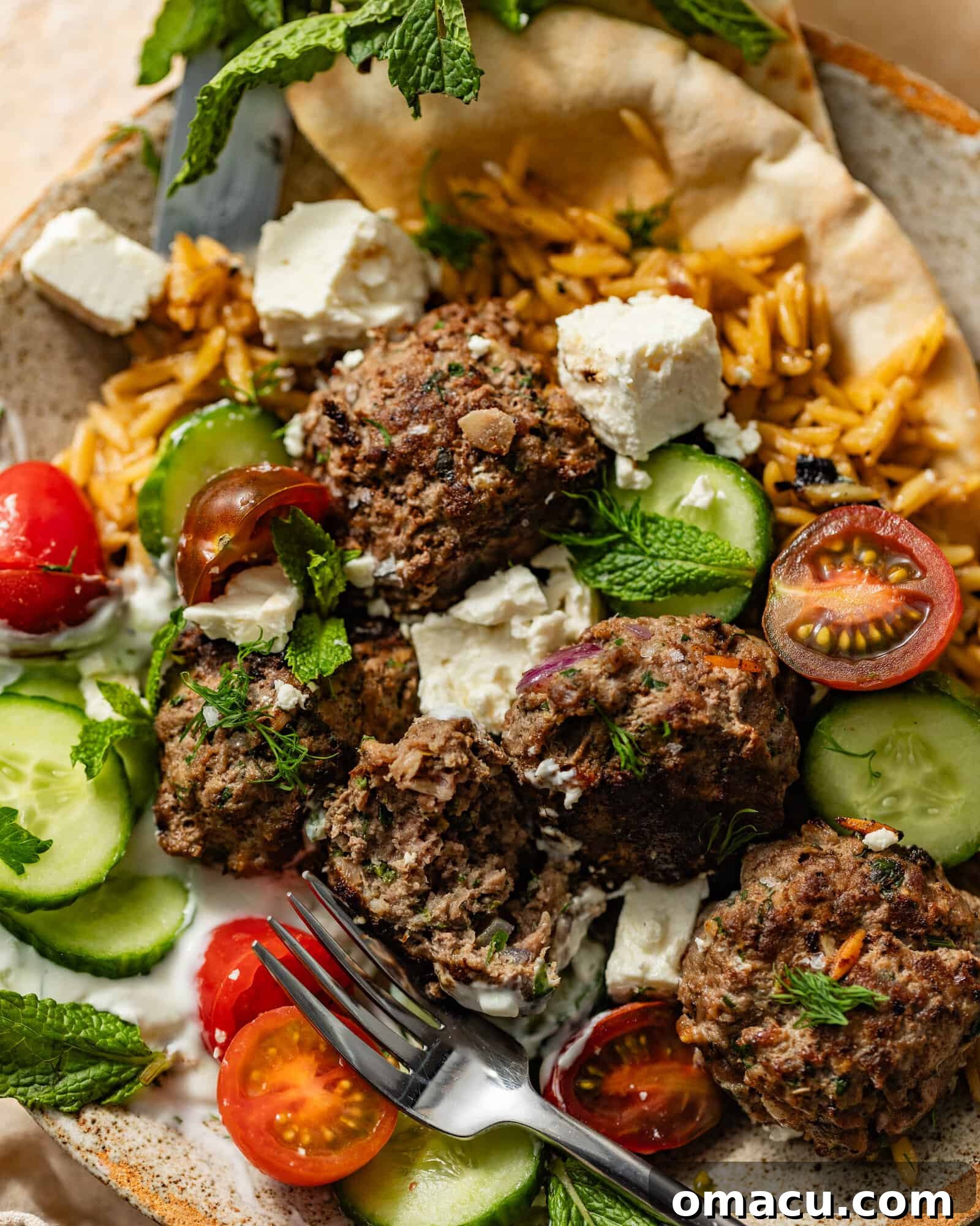 A vibrant bowl of Greek meatballs and orzo, showcasing the rich colors and textures of the dish, ready to be enjoyed.