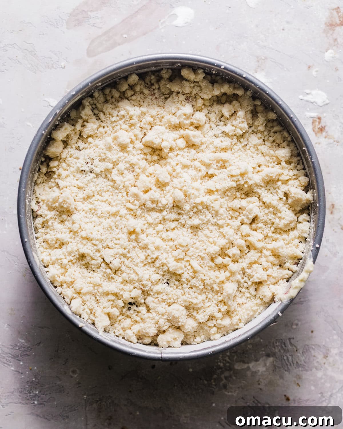 Blackberry coffee cake batter in a springform pan with the crumble topping sprinkled on top, ready for baking.