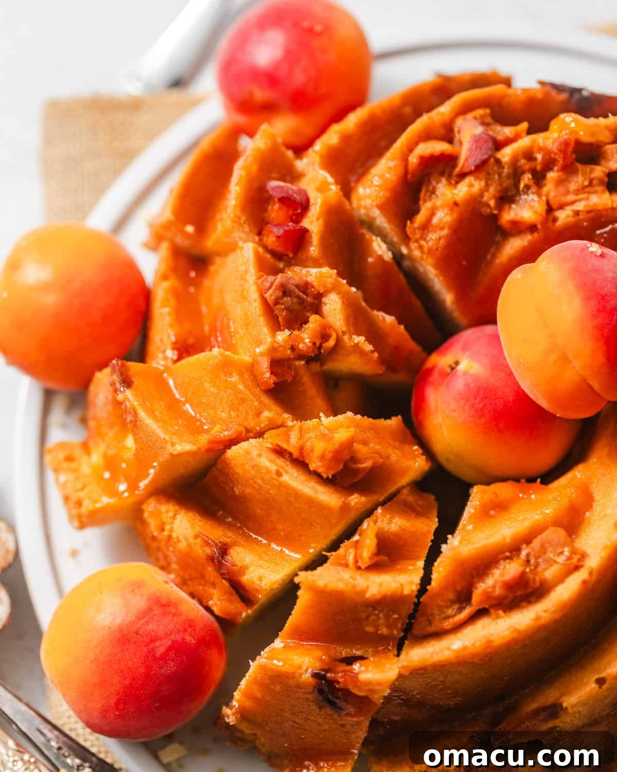 The finished apricot cake, beautifully glazed with warm apricot jam, resting on a wire rack to cool, showcasing its golden exterior and the glistening fruity glaze.