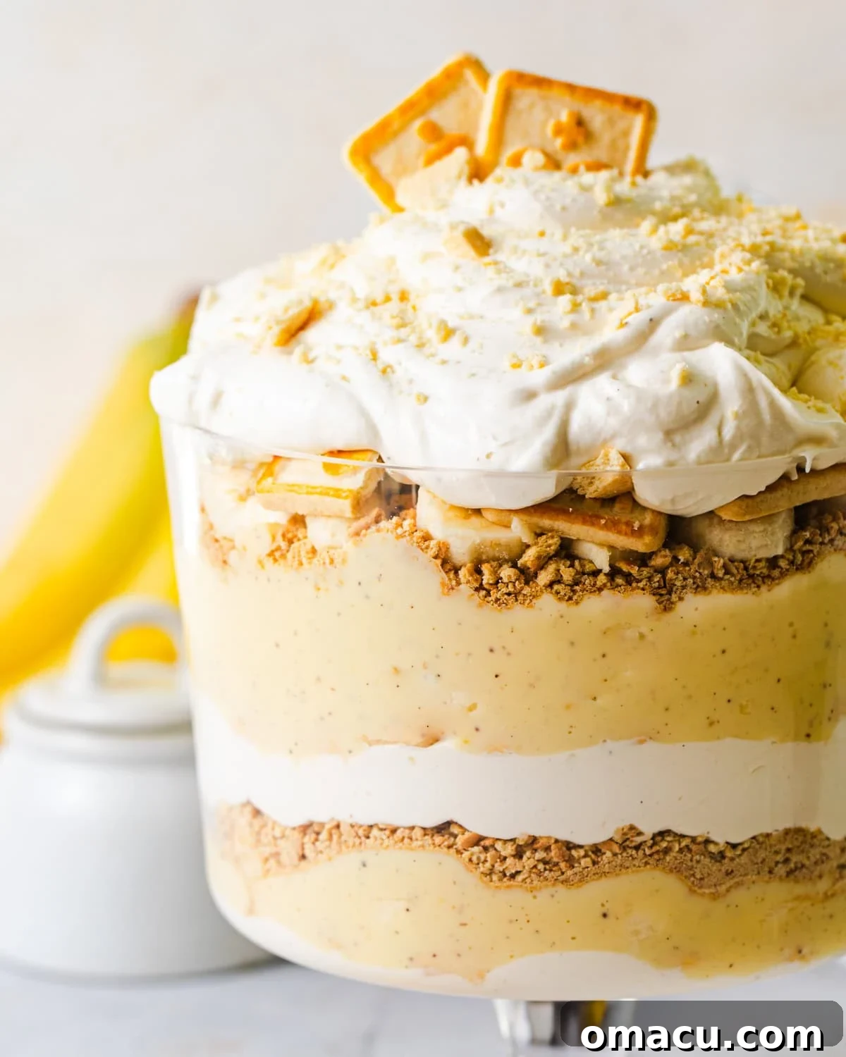 A beautiful close-up of the finished banana pudding in a bowl, showing the creamy texture and garnished with fresh banana slices.